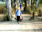 2007_03250142