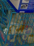 20070424598