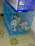 20070424599