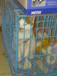 20070424607