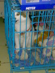 20070424608