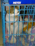 20070424609
