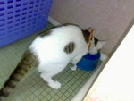 20070424627