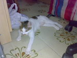 20070627902