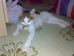 20070627903