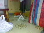 20070627905