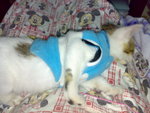 20070105404