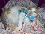 20070105405