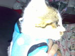 20070105406