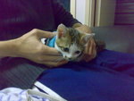 20070105411
