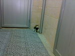 20070109416
