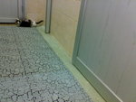 20070109418