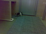 20070109428