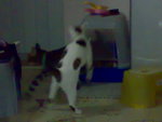 20070627908
