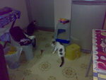 20070627909