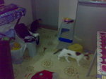 20070627910