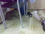 20070712950
