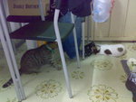 20070712951