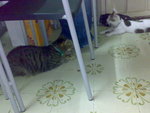 20070712952
