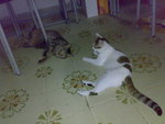 20070713978