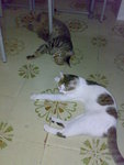 20070713980