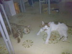 20070713982