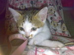 20070102367
