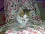 20070102371