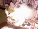 20070102373