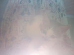 20070102374