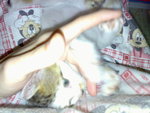 20070102380