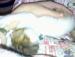 20070102381