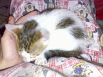 20070102383