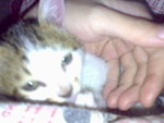 20070102391