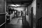 IMG_0314