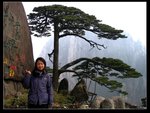 迎客松