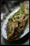 沱江美魚