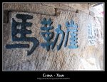 前路絕險．懸崖勒馬