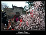 重回金鎖關.......