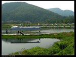 釣漁塘