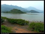 鹿頸濕地