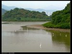 白露天地