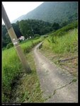 鄉郊小徑