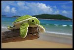 小海龜