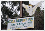 Gorge Wildlife Park，去動物園睇下動物