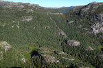 俯瞰一片挪威的森林