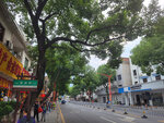 回到市區再逛逛街