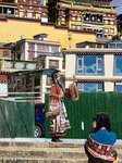 香格里拉已成為新興打卡拍攝旅遊地