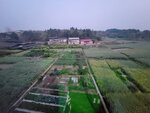 Day 2，早晨呀~~窗外的田園景色