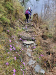 1:00pm 再上路，爬上林坡，走過花路